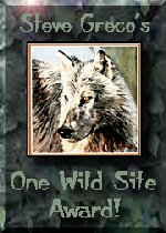 Steve Greco's One Wild Site Award