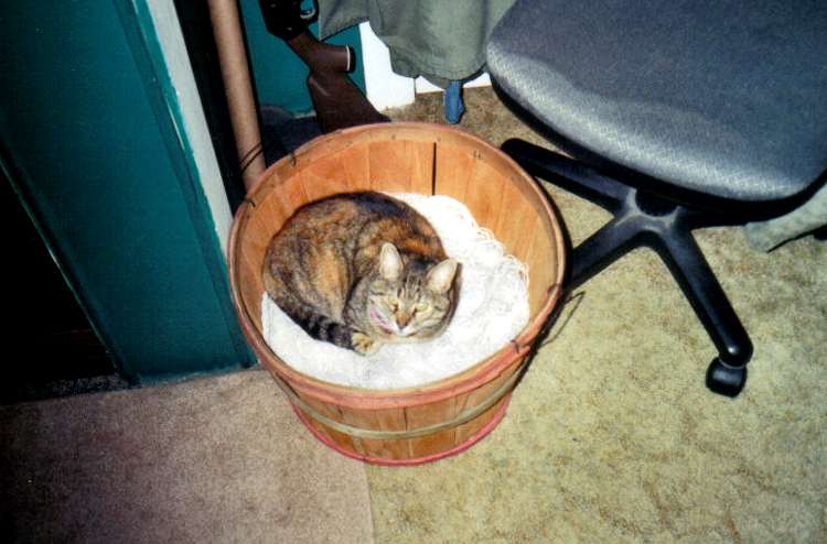 Nothing was better than the bushels of Love that Spatz bestowed upon us daily!!!