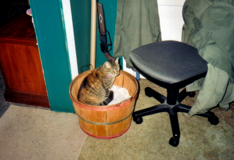 There is nothing as valuable as a Basket of Spatz Lovin's