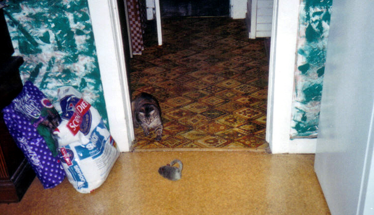 Spatz had no equal in her athletic abilities!