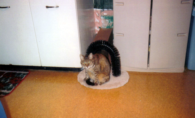 Waiting for her boyfriend, see the meeting on Clyde's page