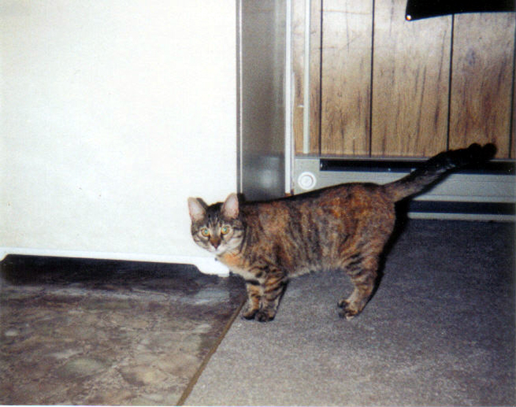 Spatz in her youth