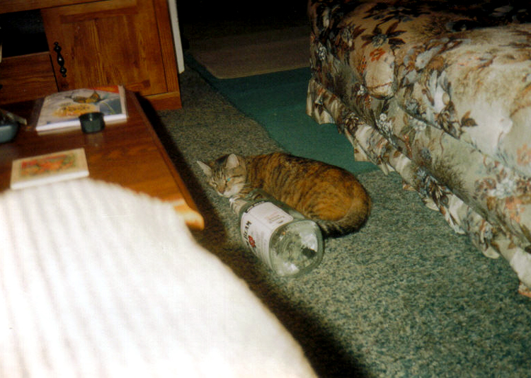 Sometimes Spatz would go on a bender