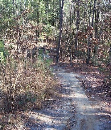 Connector Trail Tech Section