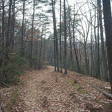 Explorer Trail