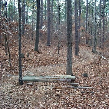 Firebreak East Loop Tech Section