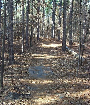 Horn Creek Trail