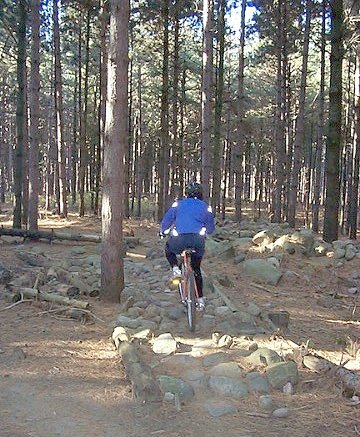 Suzie's Rock Path