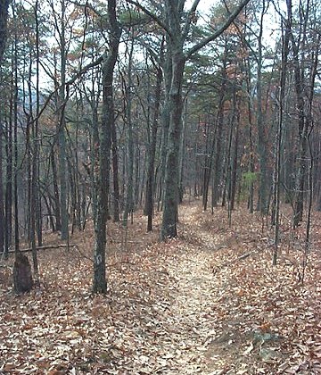 Wolf Creek Trail