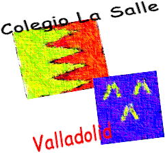 ir al ndice del Colegio La Salle