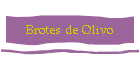 Brotes de Olivo