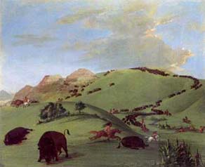 Bison hunting on the plains