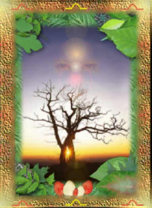 The Rising of the Sun