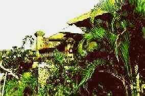 Greenery
