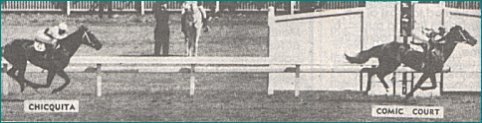 comic court 1950