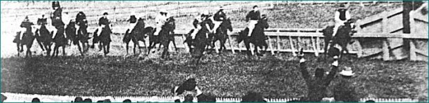Carbine wins the Cup