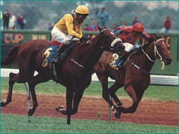 vintage crop races away