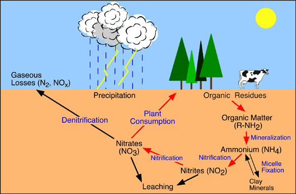 Eco Notes