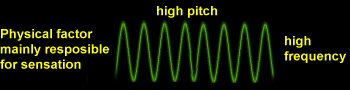 High Pitch