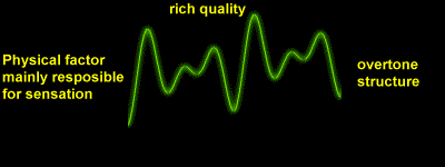 Rich Quality