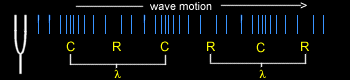 Wave Motion
