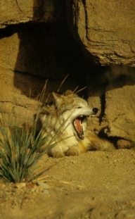 Sleepy head!