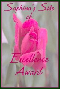 excellenceaward.jpg (10892 bytes)