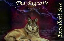 the big cat