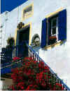paros4