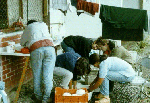 Lavando platos
