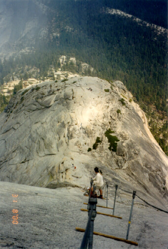 Sliding Down the Cables