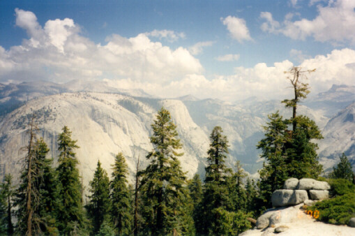 The Valley Below
