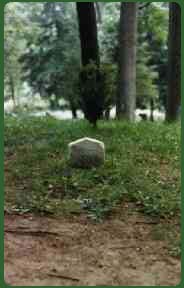 Thoreau grave