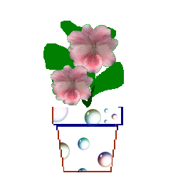 The Site Fights Spirit Flowers