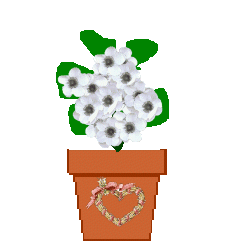 The Site Fights Spirit Flowers