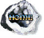 back to home page