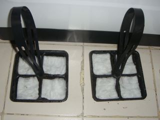 Semillas cubiertas con papel