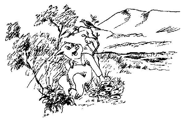 [ Fylgsni ]