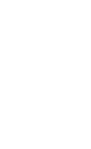 [ Skringur ]