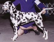 Flair