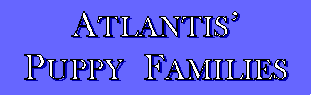 Atlantis' Puppy Families