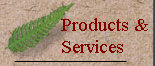 atul_computers001.jpg