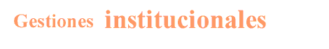 Gestiones institucionales