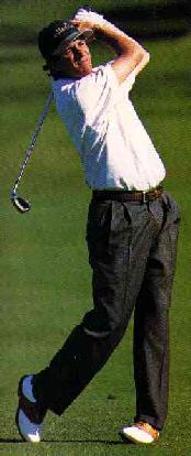 Correct Swing (14818 bytes)