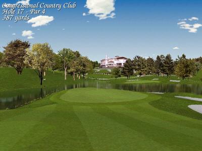 Links Ls 98 - Congressional Country Club Hole 17