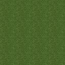 ct21.jpg (4572 bytes)