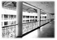 Hallway of Dr. Juan C. Angara Building