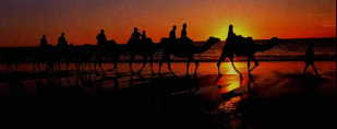 Sunset on Cable Beach, Far North West WA