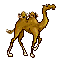 Picture of Animated Camel
