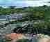 Picture of Royal National Park